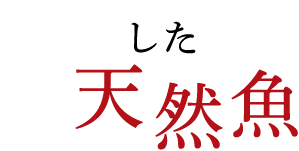 厳選した天然魚